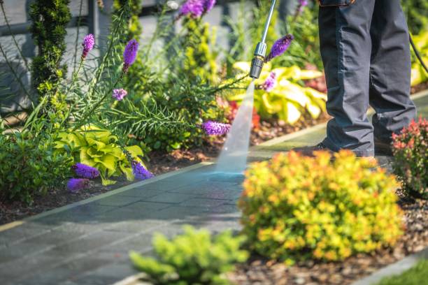 Best Pre-Holiday Cleaning  in Salineville, OH